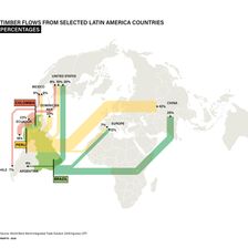 Latin America Timber Routes